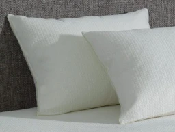 AllerEase Platinum Pillows