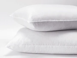 Standard Express Polyester Pillows