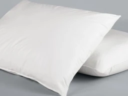 VinSoft Pillows